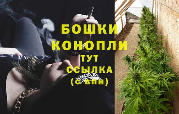 индика Болотное