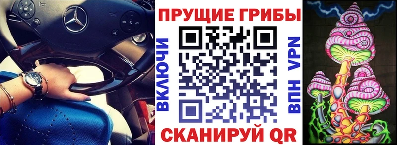 Псилоцибиновые грибы прущие грибы Северо-Курильск